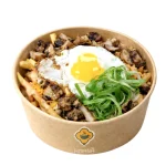 fully loaded fries